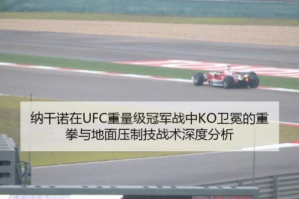 纳干诺在UFC重量级冠军战中KO卫冕的重拳与地面压制技战术深度分析
