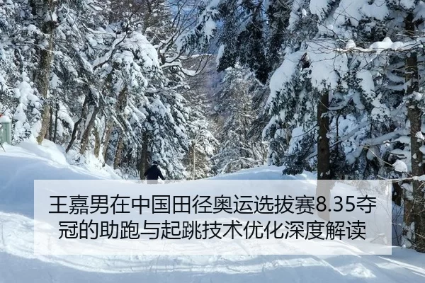 王嘉男在中国田径奥运选拔赛8.35夺冠的助跑与起跳技术优化深度解读