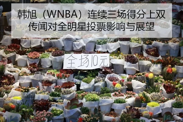 韩旭（WNBA）连续三场得分上双传闻对全明星投票影响与展望