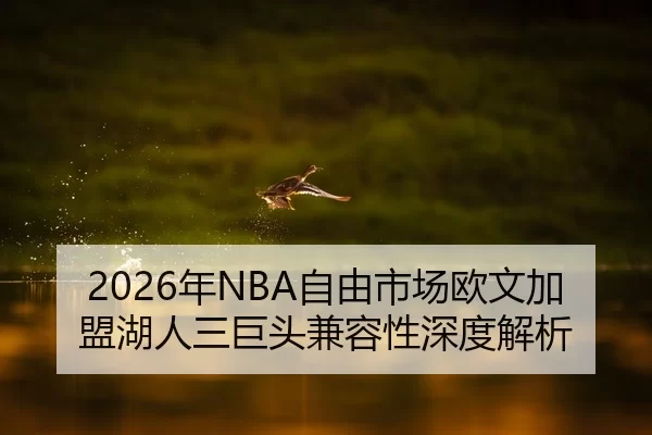 nian-zi-you-shi-chang-ou-wen-jia-meng-hu-ren-san-ju-tou-jian-rong-xing-shen-du-jie-xi-2-514.jpg